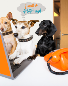 pup cup! connnnct us